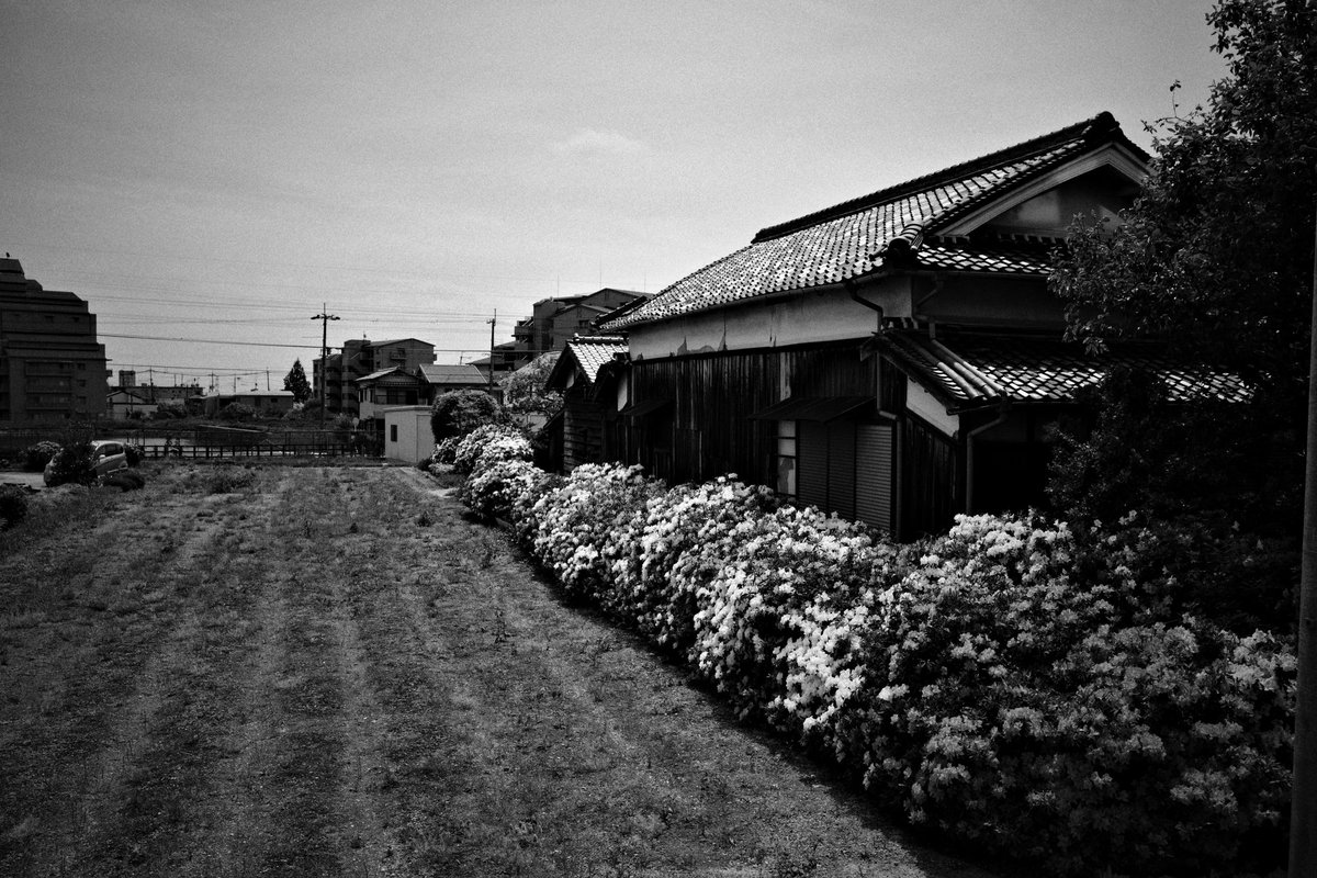 wao_camera's tweet image. GRⅣ monochrome
#GR4monochrome #SnapShot 
#monochrome 
#streetsnap