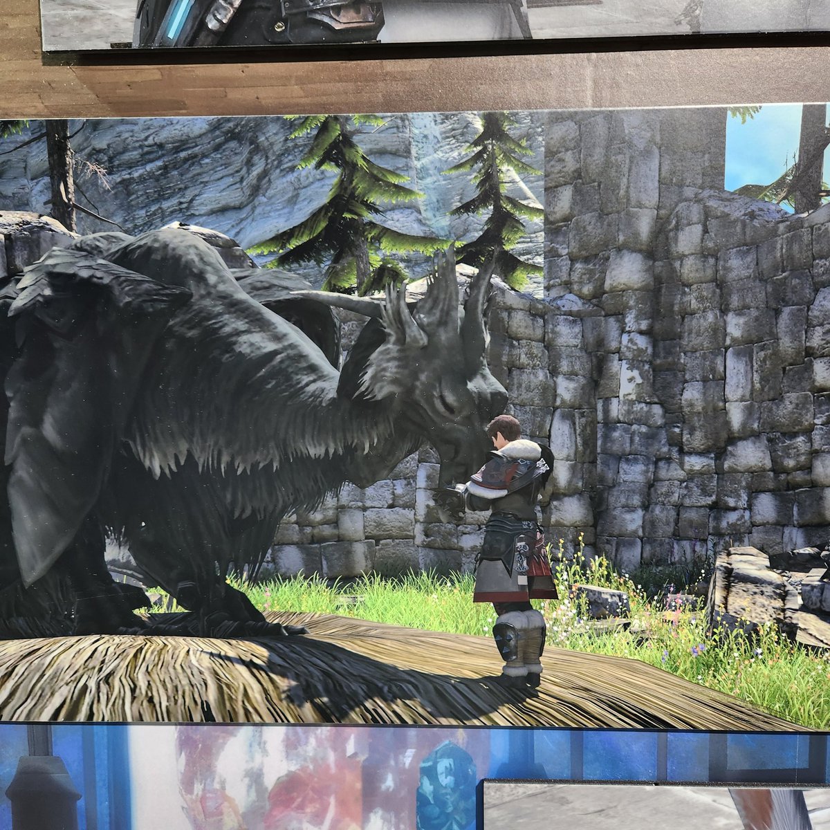 コテリ🌕🥔🧀🍊 tweet media