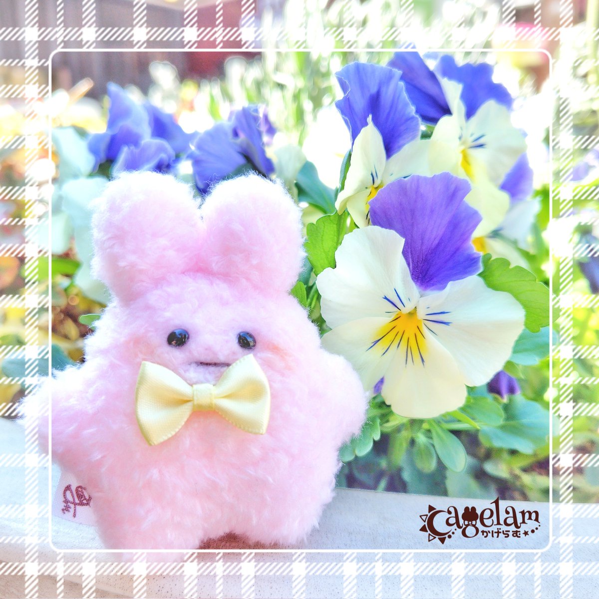 かわいい みつけた ᙏ̤̫͚❤

ぷにょんのおめめもキラキラだ✨

《自立もしちゃうんだよ𓈒𓂂◌》

#ぷにょんぬい #ぬい撮り