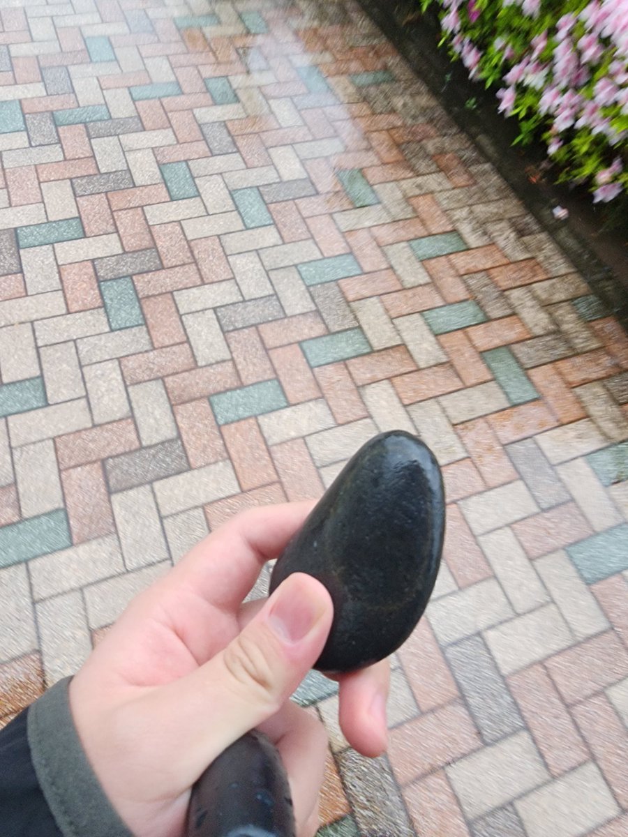 まかろん tweet media