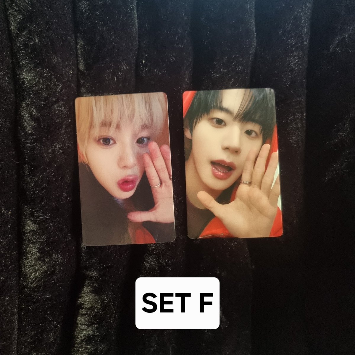 jhenjamyeoni's tweet photo. WTS/LFB

AHOF Cebu exclusive PC

Sold by set. 500 each set. DM for faster transaction.

#photocard #ahof #steven #jl #han #chihen #jeongwoo #daisuke #woongki #shuaibo #juwon https://t.co/UoTzO17RFv