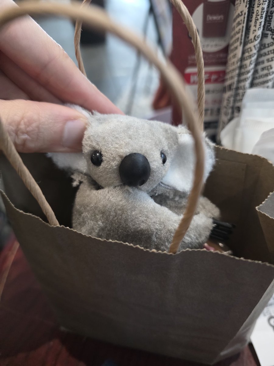 アキハブにて。東京観光中のリンボーイさんたちと🐈️