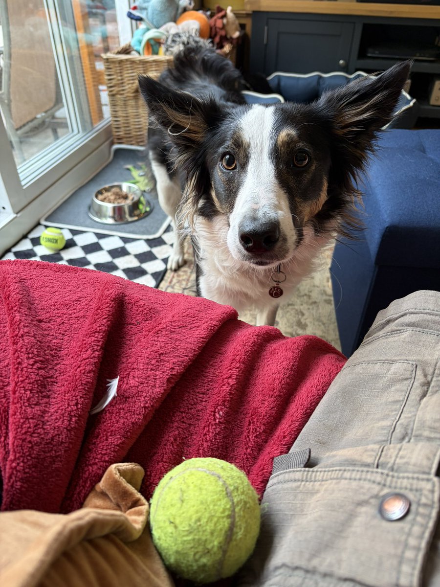 Puppy Bess and Auntie Kes tweet media