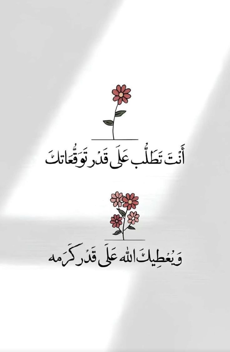 مُطمئِنةَ.! tweet media