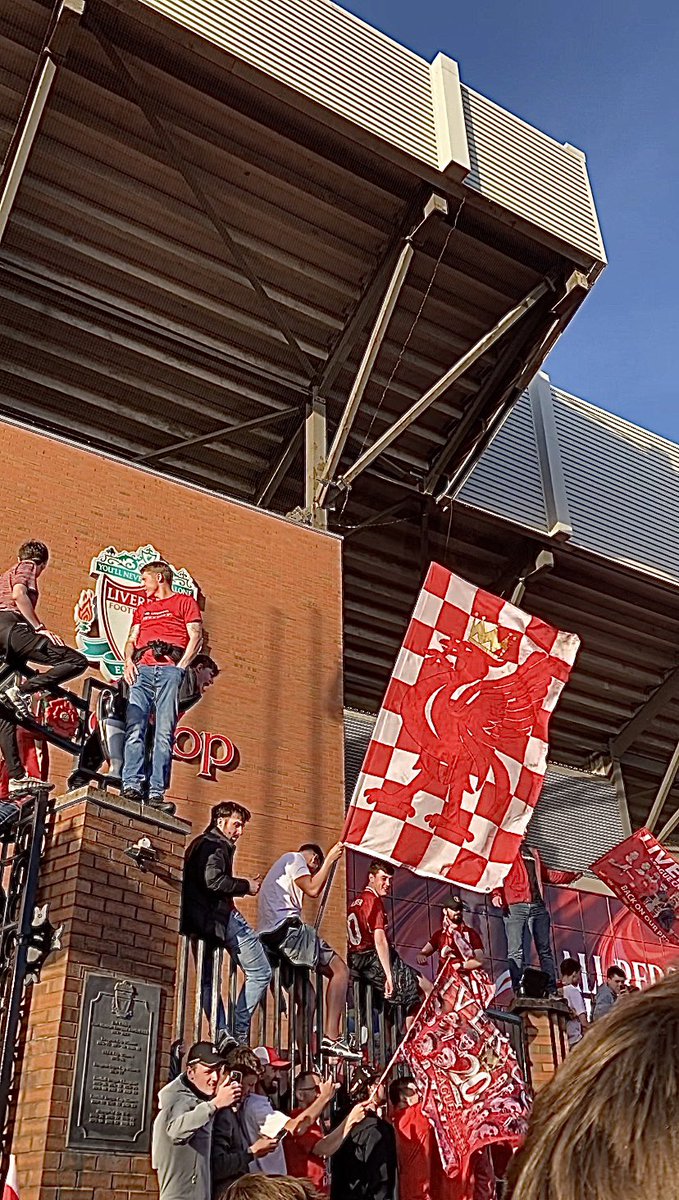 lfcalsty99 tweet media