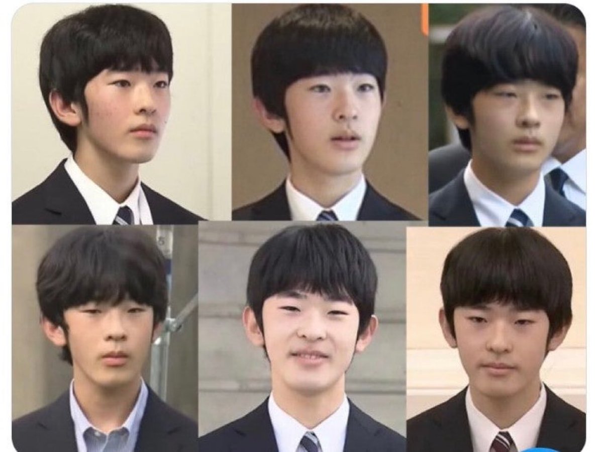 パディントン tweet media