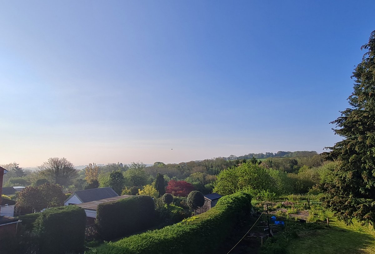 lisamarie1711's tweet photo. Good morning/Bore da from #Rhosllanerchrugog #Wrexham #NorthWales Another beautiful start to the day. The birds seem to agree. Mrs Dunnock and Mrs Blackbird are busy nest sitting in the hedge and Mr Pigeon is trying to woo a lady with sticks in the big tree ๐ #ViewFromMyWindow https://t.co/WFa9zy7yvt
