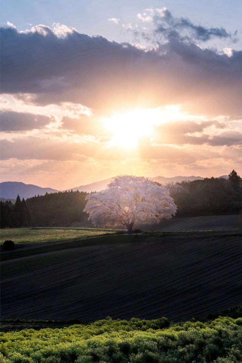 tokyocamerajp's tweet image. kura_pulse_さんの投稿作品。リツイート＆いいね！大歓迎です。
tokyocameraclub.com/mstdn/kura_pul…
 #mastodon #マストドン #Photograph #Photography