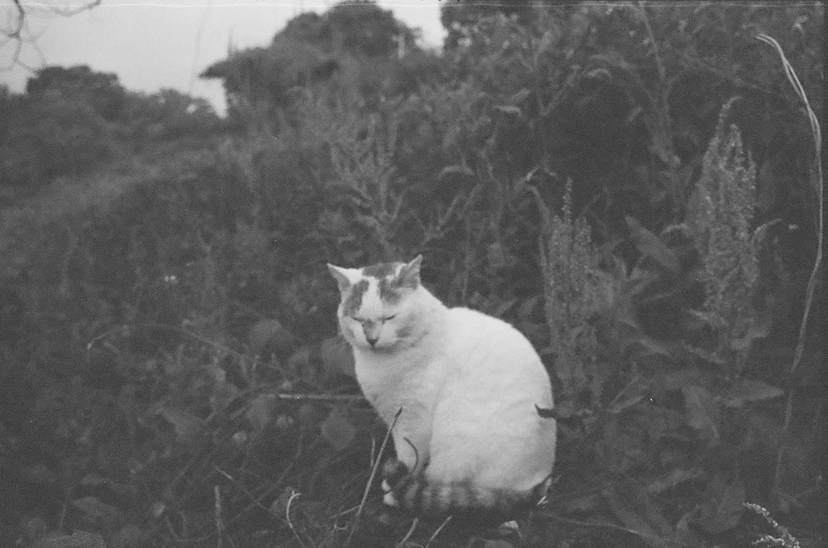 #expiredfilm