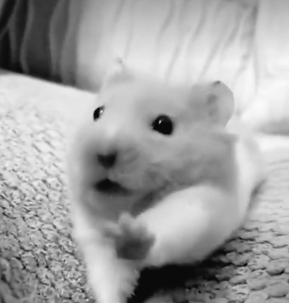 幽霊さん⚒☃️ tweet media