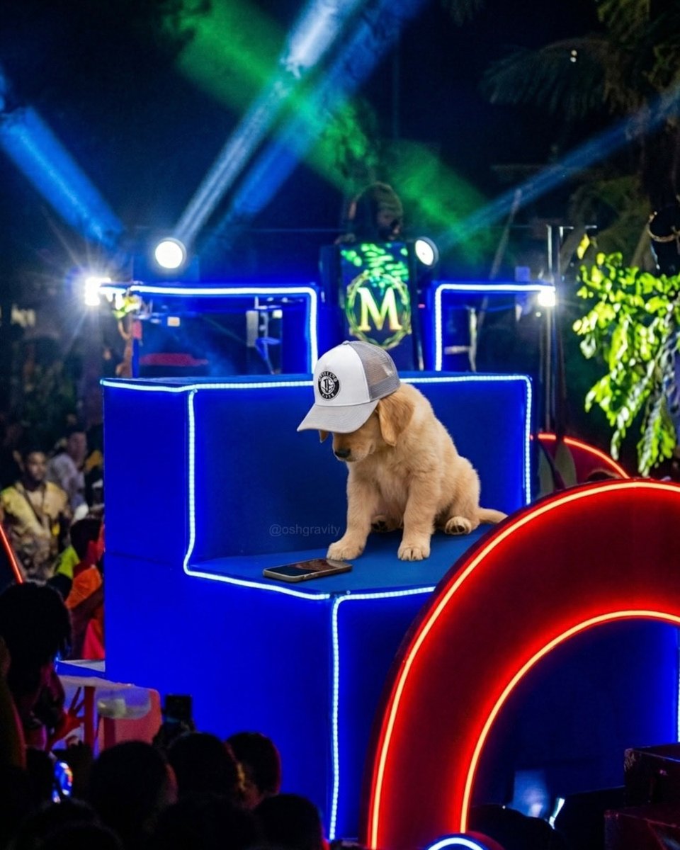 kei ⭑.ᐟ ᴬᴬᵒ tweet media