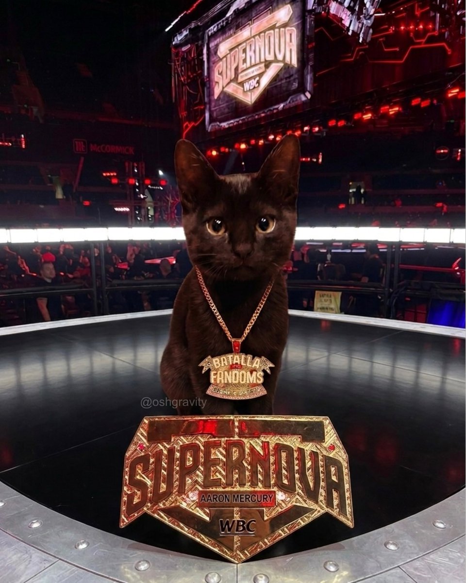 kei ⭑.ᐟ ᴬᴬᵒ tweet media