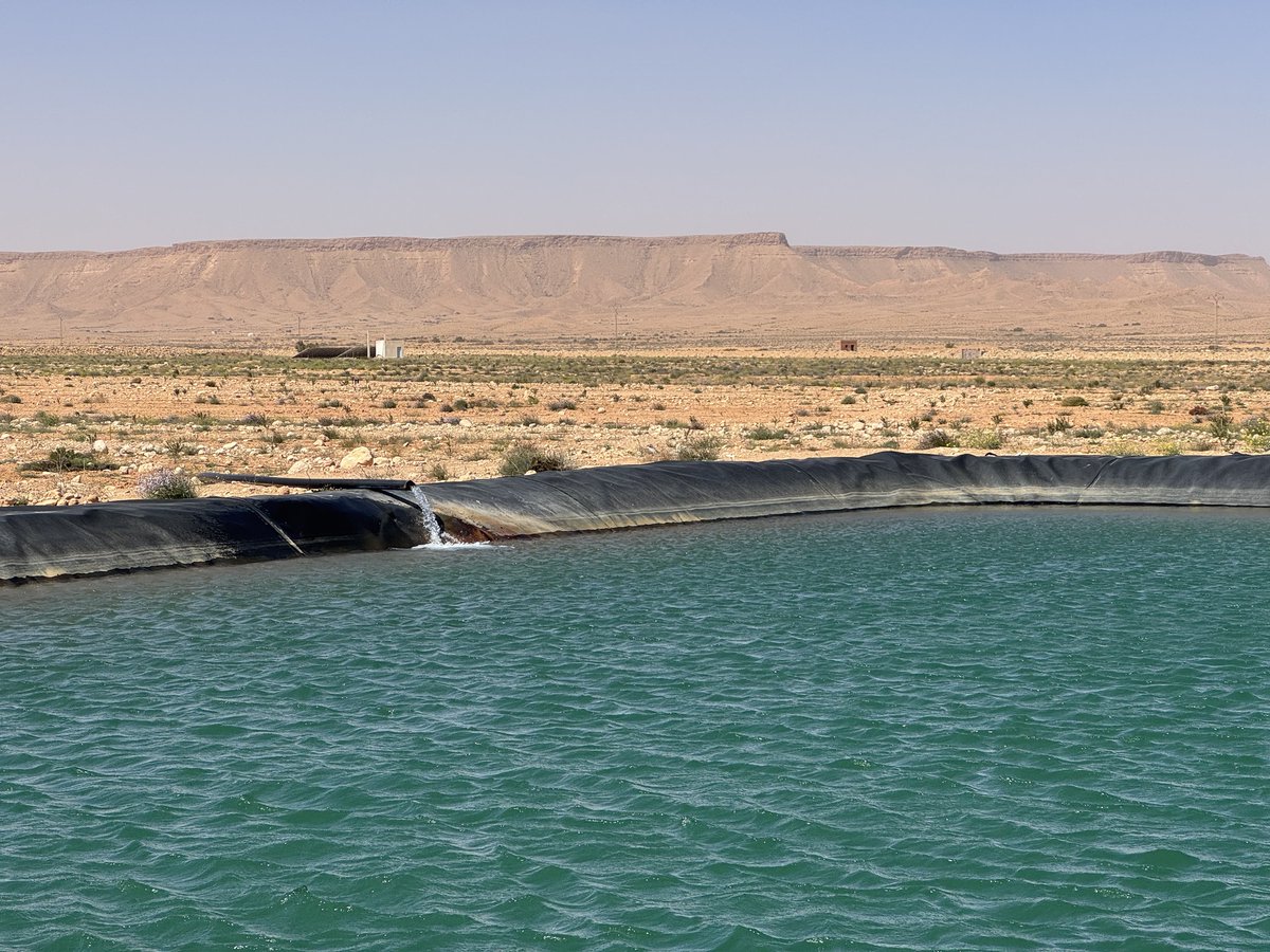 UeTunisie's tweet image. 🌱 #Tataouine montre la voie : financement &amp;amp; innovation accélèrent la transition agricole en Tunisie.
🌍 Une transformation en marche en Tunisie.
💡 Grâce au programme #ADAPT : crédits bancaires/leasing + subventions jusqu’à 20% pour investir dans une agriculture durable.