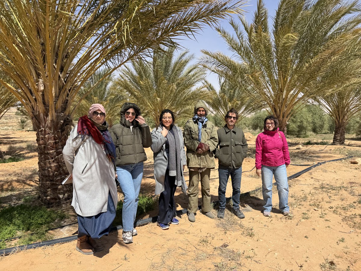 UeTunisie's tweet image. 🌱 #Tataouine montre la voie : financement &amp;amp; innovation accélèrent la transition agricole en Tunisie.
🌍 Une transformation en marche en Tunisie.
💡 Grâce au programme #ADAPT : crédits bancaires/leasing + subventions jusqu’à 20% pour investir dans une agriculture durable.