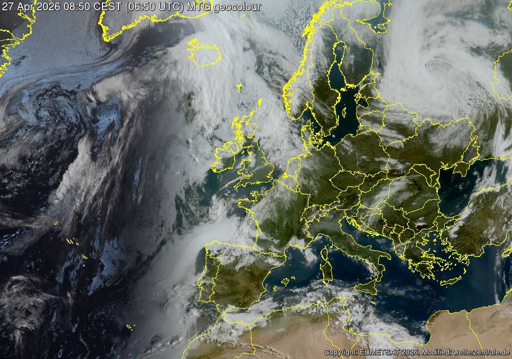 Marco M.M. tweet media