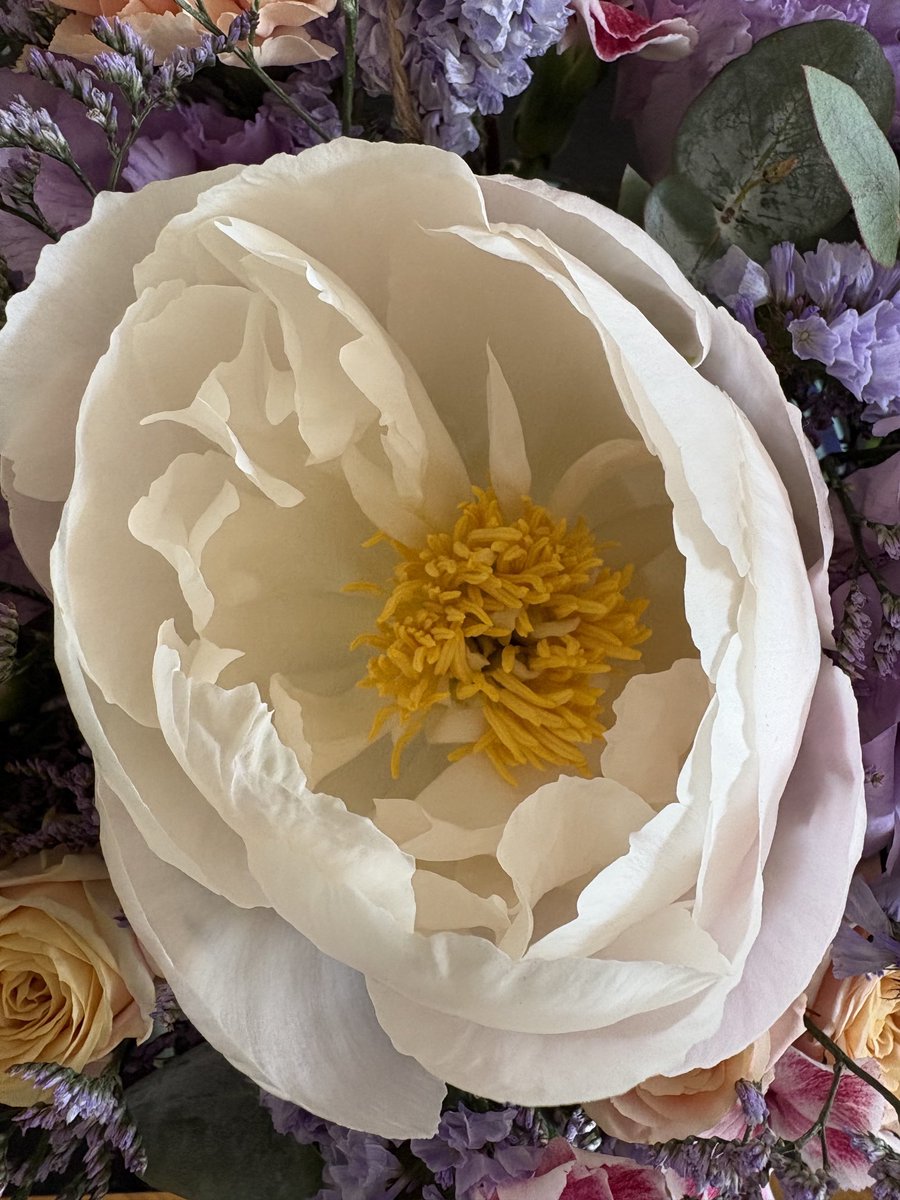 GmurHelen's tweet image. Grateful for the #weekend #memories 
#Friends #runners #team 👟🏆
#Reunion #Friendship 
Happy #Monday 
A new #chapter ☕️👟🕶️☀️