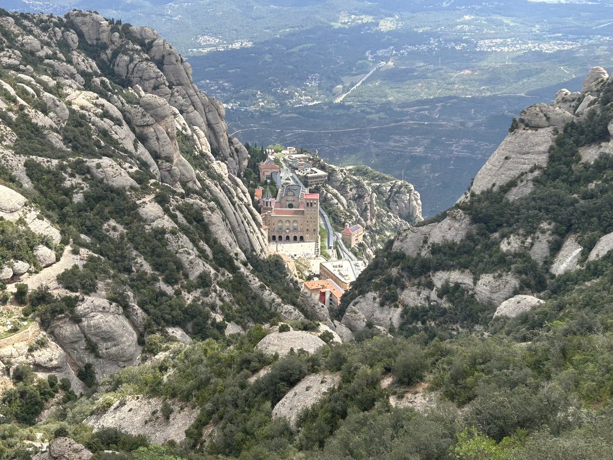 Pere Alzina tweet media