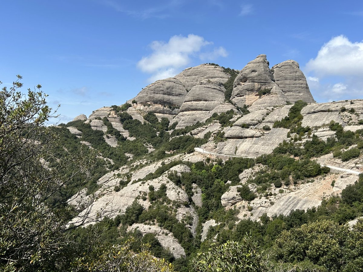 Pere Alzina tweet media