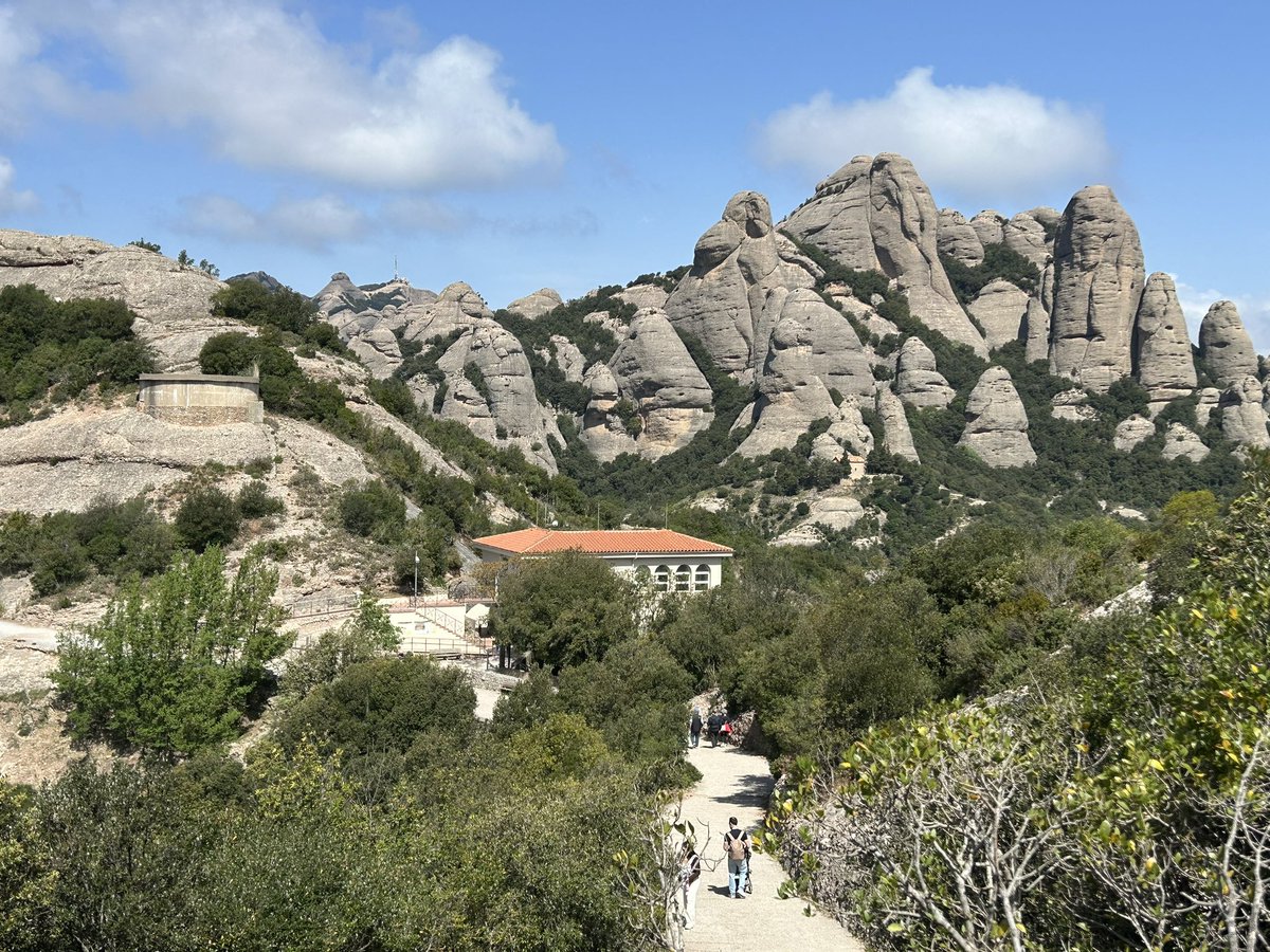 Pere Alzina tweet media