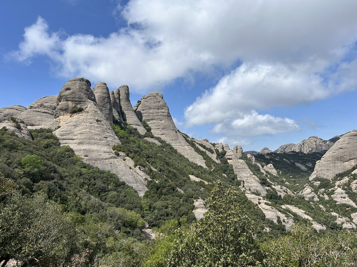 Pere Alzina tweet media