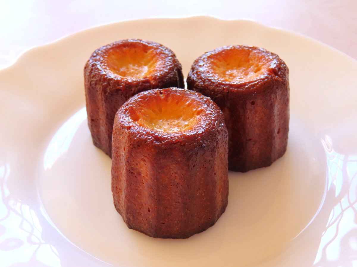 やまたぬき tweet media