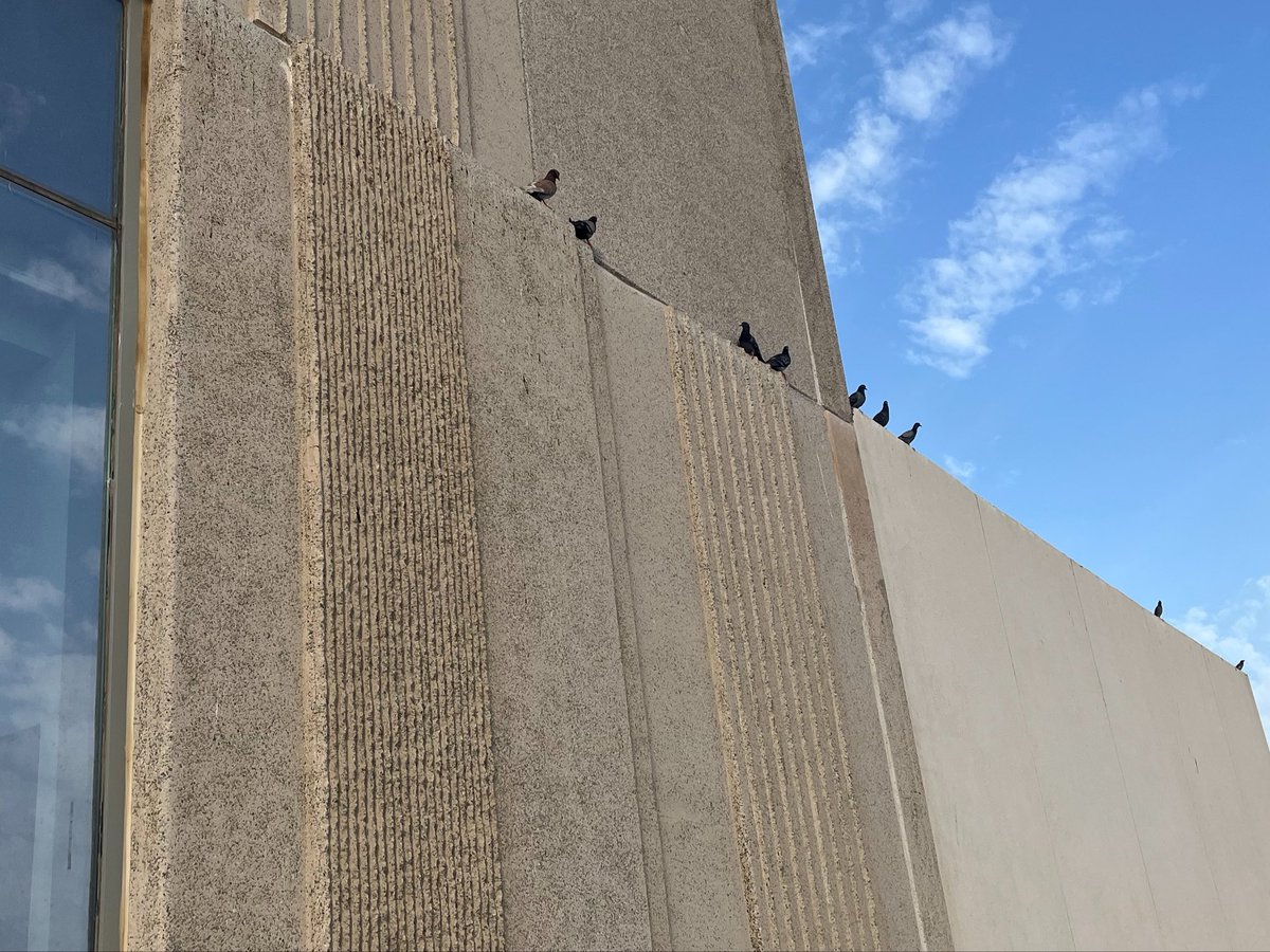 @omgisthather? tweet media