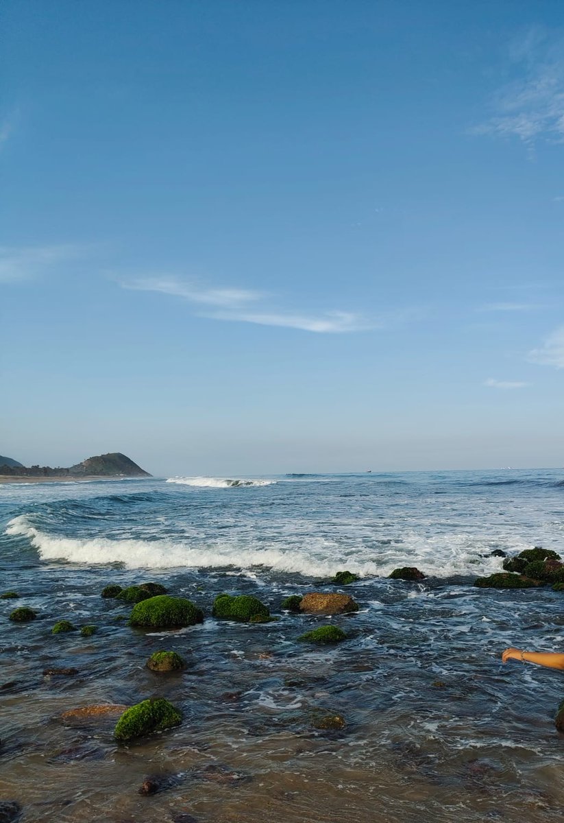 No One🇵🇸 tweet media