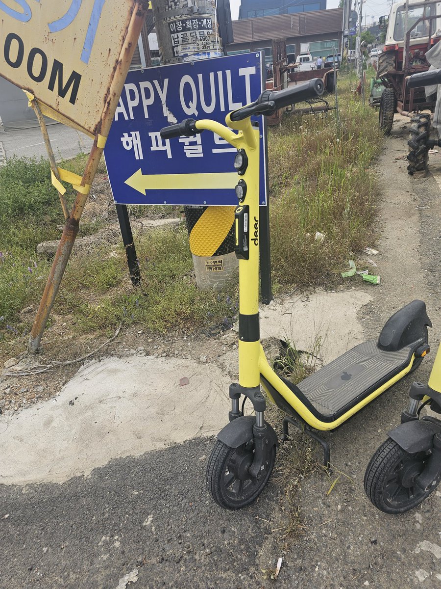 흑염소 tweet media