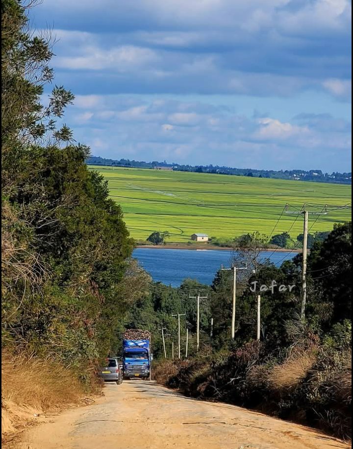 𝐀𝐲𝐨 𝐃𝐢𝐦𝐞𝐣𝐢 tweet media