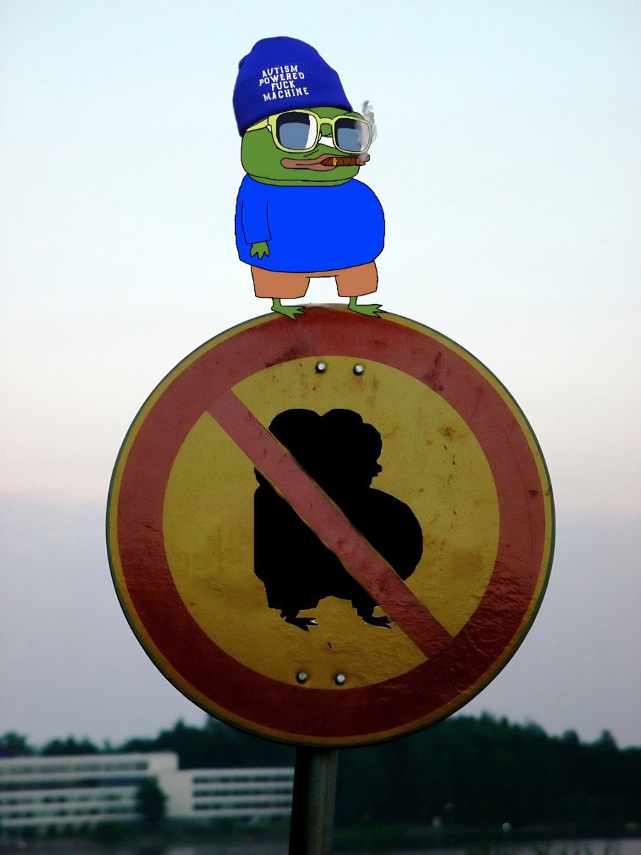 FrΣnch_Frog_FrΣn 🐸🌞 tweet media