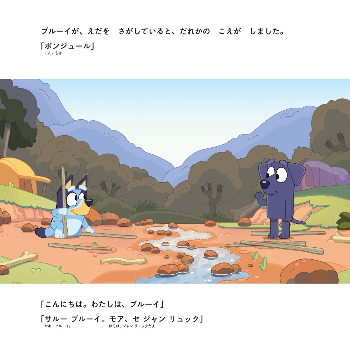 小学館クリエイティブ／実用書編集部 tweet media