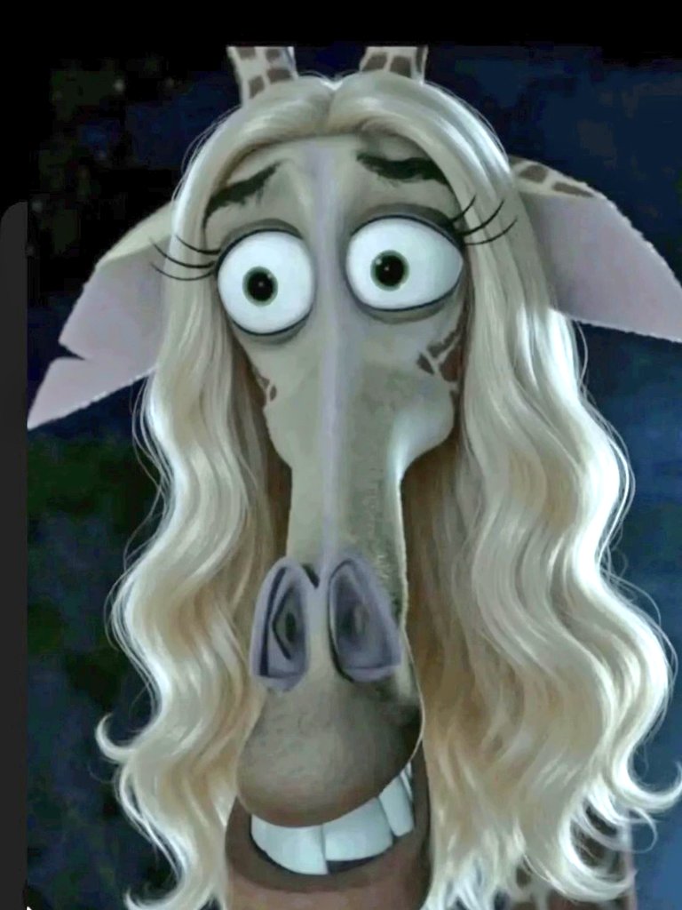 Melissa😏 tweet media