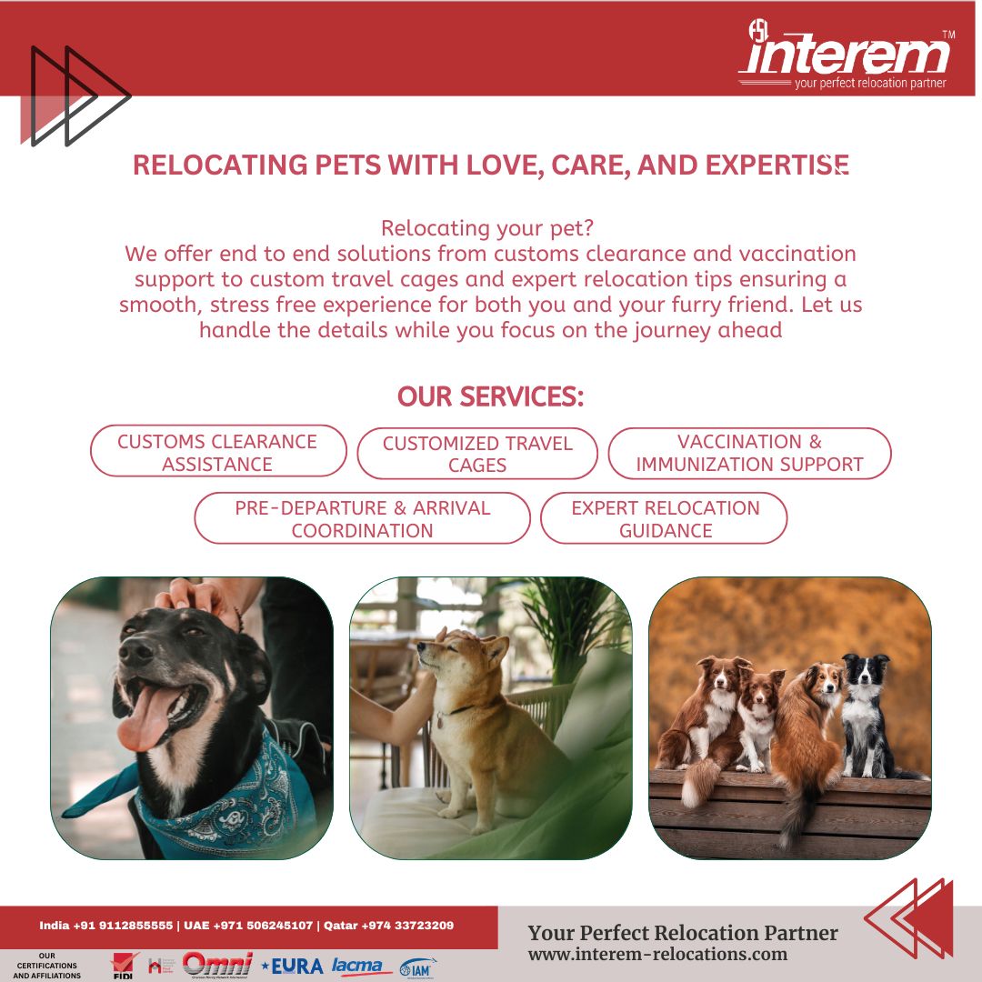 InteremR's tweet photo. Relocating pets with love, care &amp; expertise 🐾

Because they’re family, not just pets.
We ensure safe, smooth, stress-free journeys every step of the way.
Relocate with confidence.

🔗 https://t.co/qYrXEpuRn2

#PetRelocation #InteremRelocations #MovingWithCare #GlobalMobility https://t.co/qxaHqCOva6