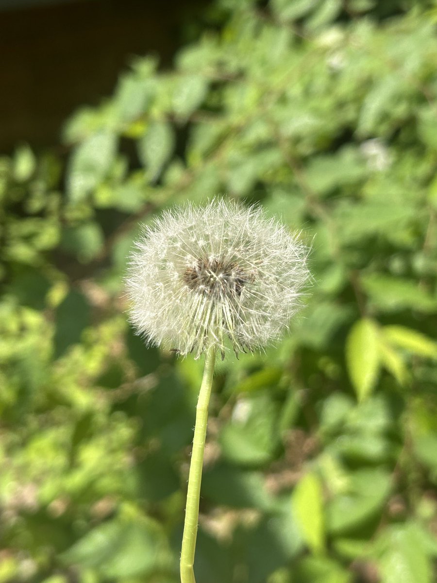 젠콩⁶⁵ tweet media