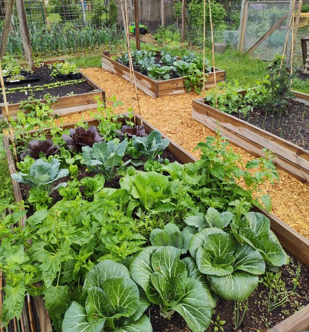 It's hard to control people who are self dependent and know how to take care of themselves. 
They don't teach Gardening in schools as a basic survival skills so you can depend on the system.

Disobey.