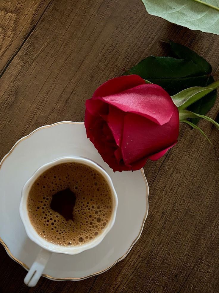 مِٰـِۢسِٰـِۢڪِٰـ 💎 tweet media