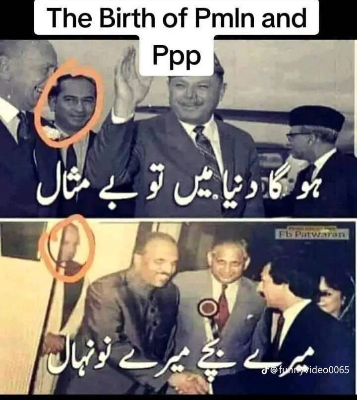 امؔ یحیی tweet media