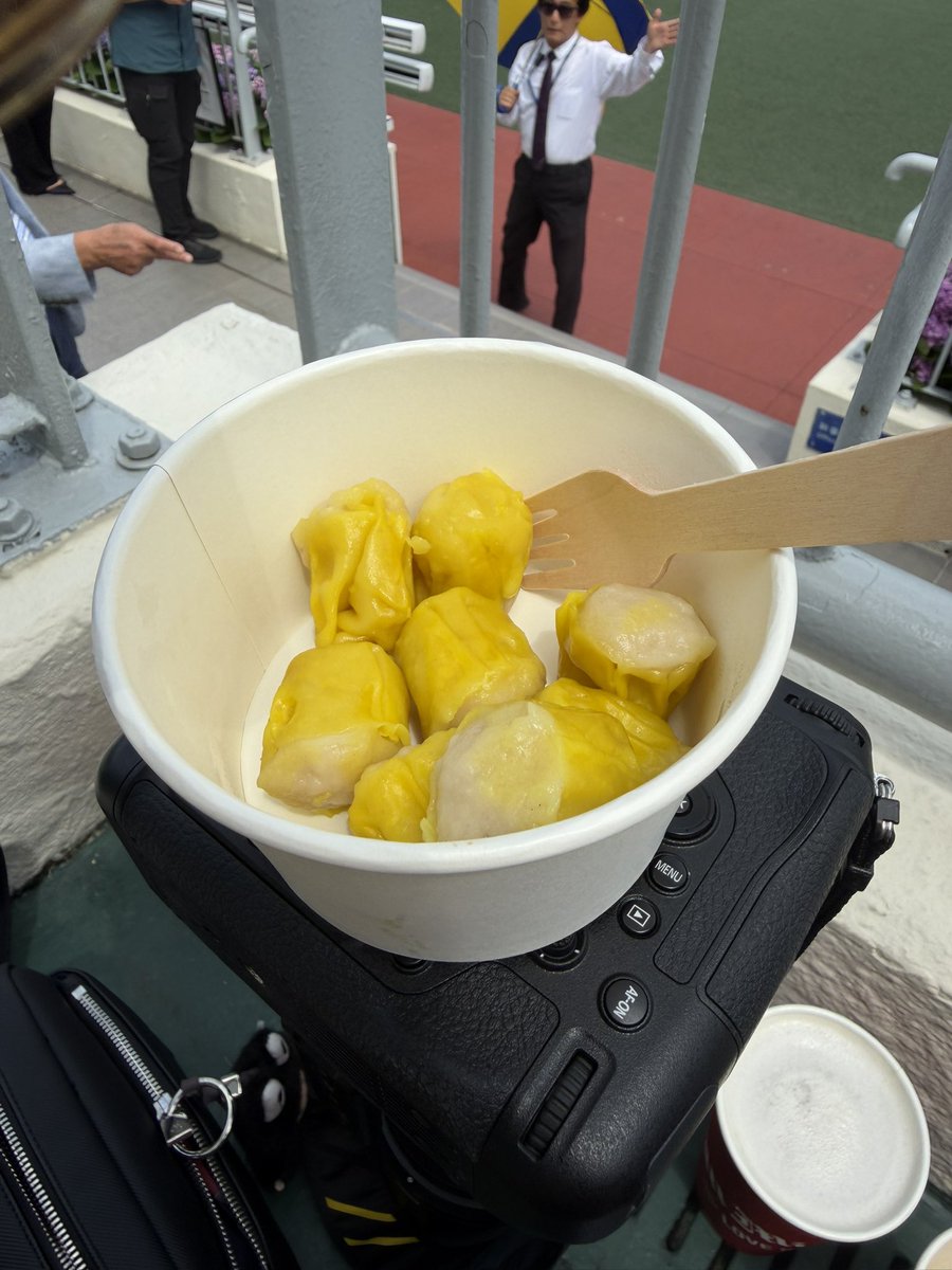 ねね。 tweet media