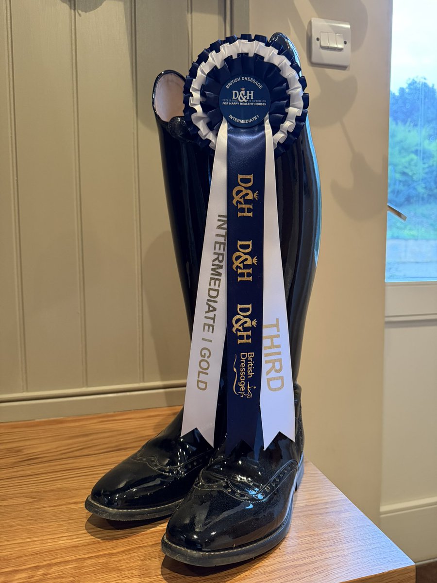 nttequestrian's tweet photo. 昨日はDon Kingとプレミアリーグ　インター1クラスに参加、小さな点のとりこぼしは有りましたが69.6％で3位入賞でした。
これからも自分の理想の演技が出来るように精進していきます。 https://t.co/InSKeuXz9j
