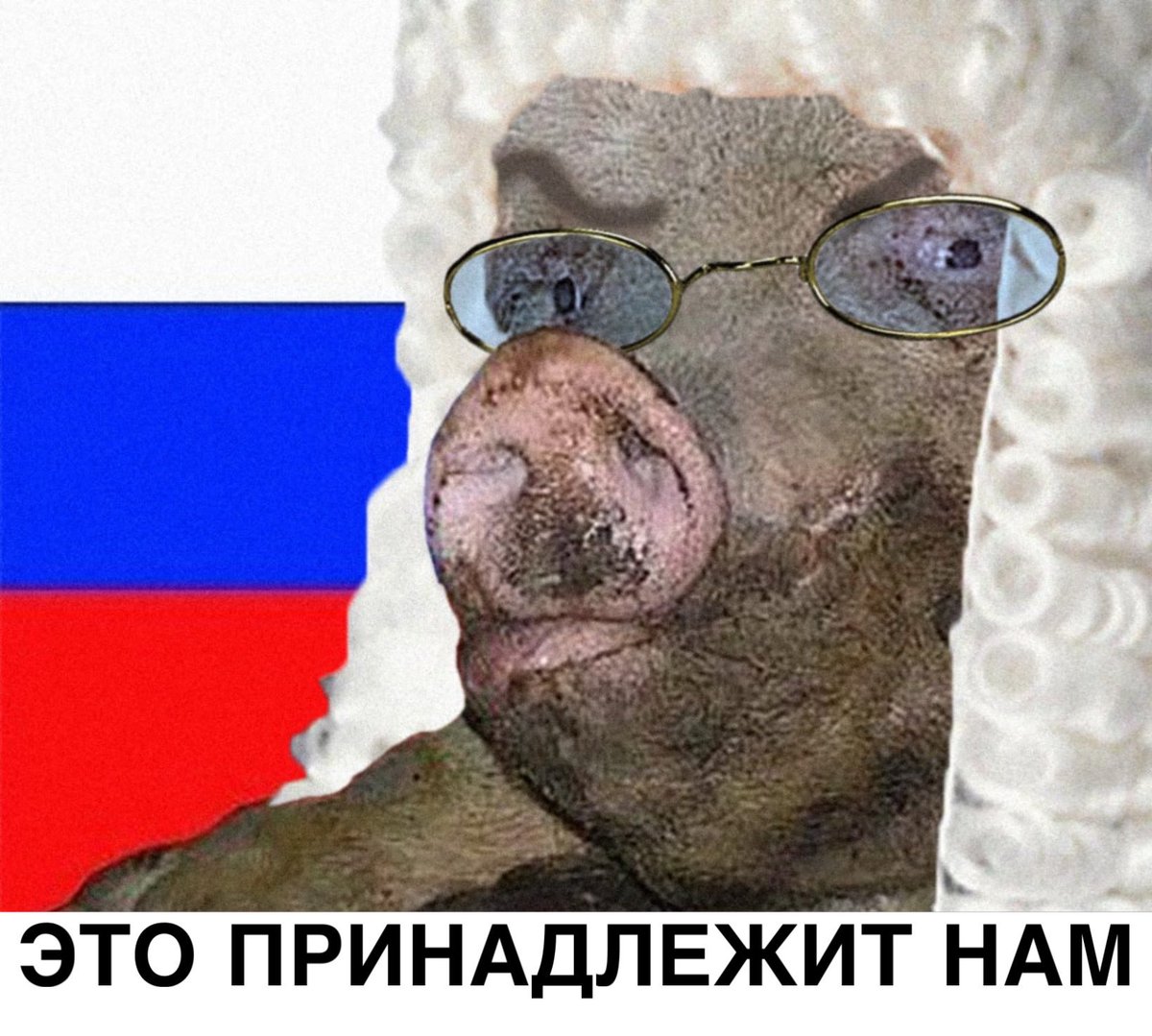 Apalonir tweet media