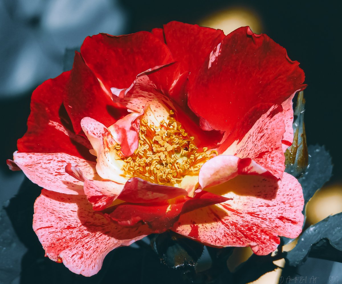 Objet l’Artist tweet media