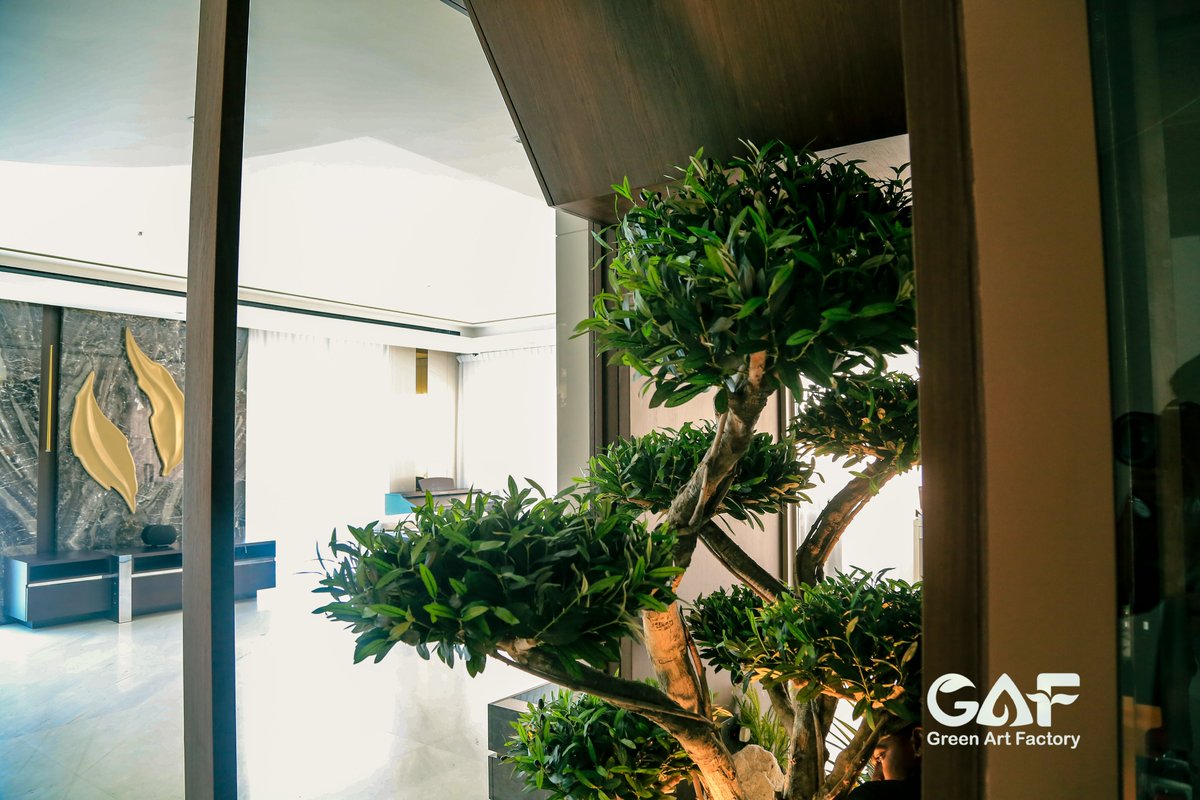 Greenmosswall's tweet image. 🌿 Artificial Olive Tree with Landscape Design | Villa Interior 🌿

🌐 greenartfactory.ae
☎ Voice/WhatsApp: +971 56 95 88 315 
📧 info@greenartfactory.com

#ArtificialOliveTree #VillaInterior #LandscapeDesign #CalmSpace #RealOliveTrunk  #LuxuryLiving #GreenArtFactory