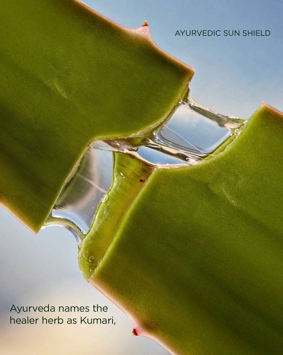 Biotique tweet media