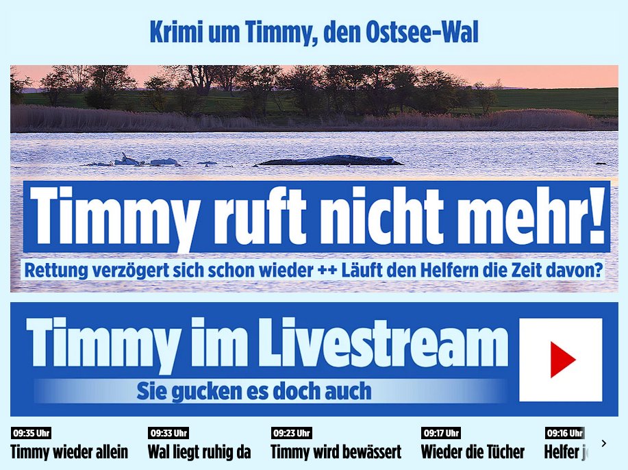 Frau und Mutter tweet media