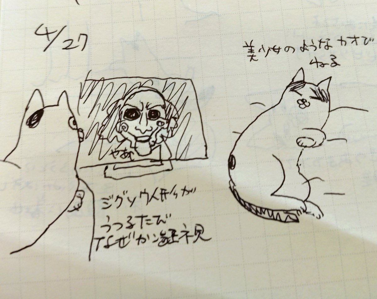 🐱日記