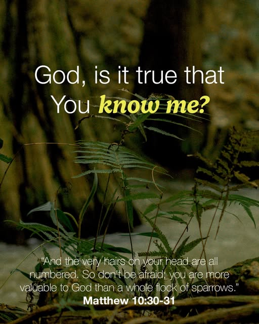 Jesus_Savior's tweet image. God wants you to know Him. He loves you deeply! To learn about God's love for you, visit hopewithGod.com/hope! #faith #hope #love #Jesus
