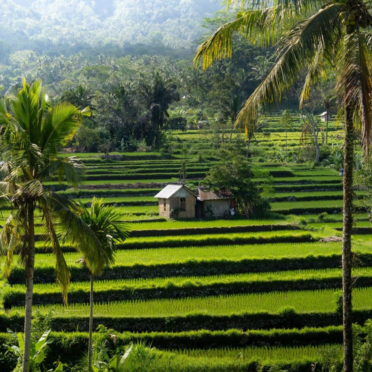 matamotherson's tweet image. Amed, Bali – Black Sand &amp;amp; Snorkelling Paradise
Located on the eastern coast of Bali, Amed is a hidden coastal gem known for its unique black sand beaches, crystal-clear waters, and incredible underwater life.

Best Time to Visit: April to October
#AmedBali #BlackSandBeach #Bali