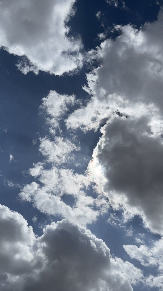 بعيد الهقاوي tweet media