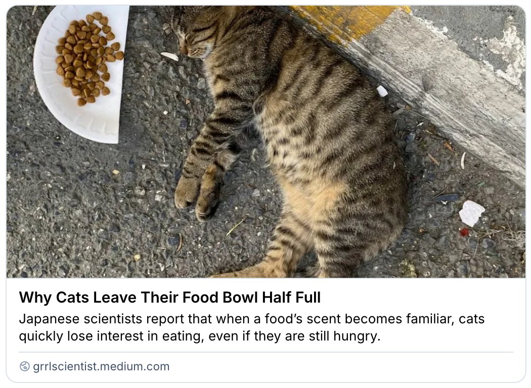GrrlScientist's tweet image. Why Cats Leave Their Food Bowl Half Full

"Japanese scientists report that when a food’s scent becomes familiar, cats quickly lose interest in eating, even if they are still hungry."

#SciComm by @GrrlScientist 

#cats #EatingHabits #behavior #food grrlscientist.medium.com/why-cats-leave…