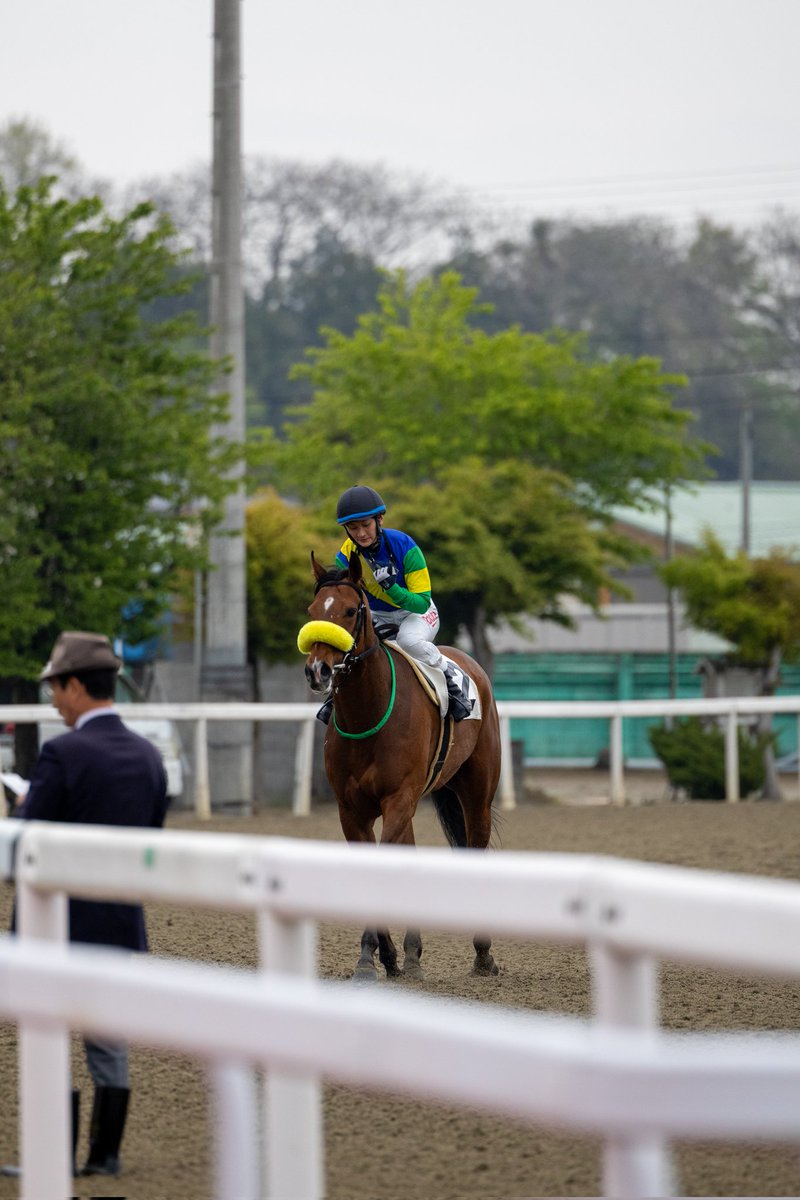 ほむん tweet media